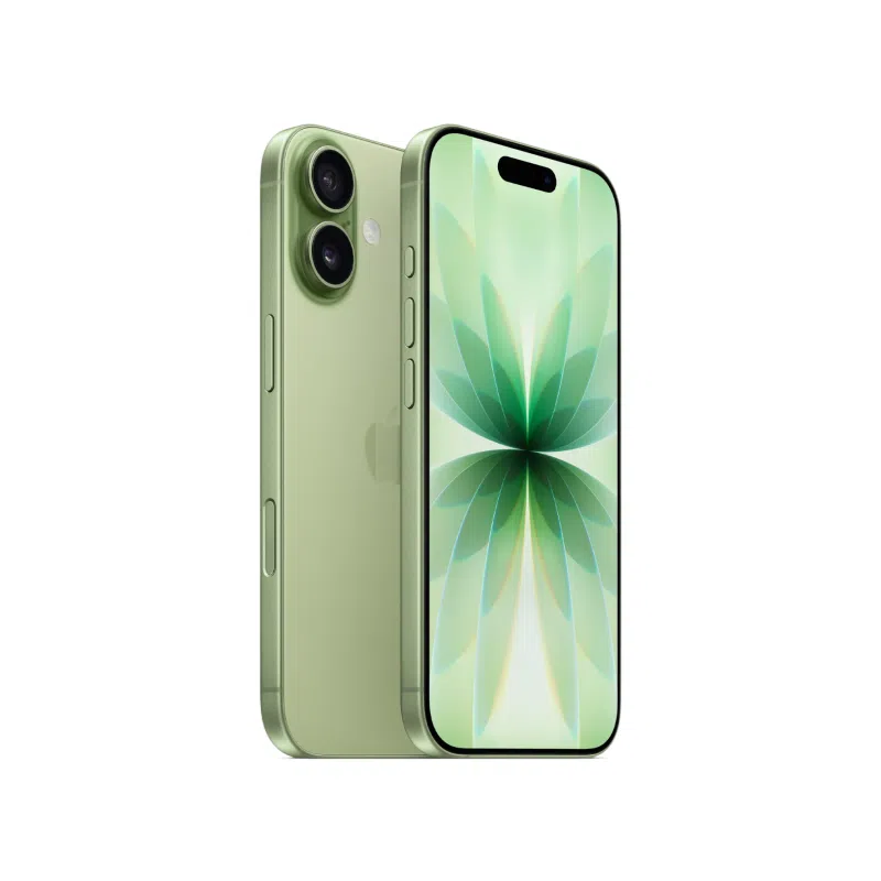 Купить apple iphone 17 esim 256gb sage зеленый с доставкой