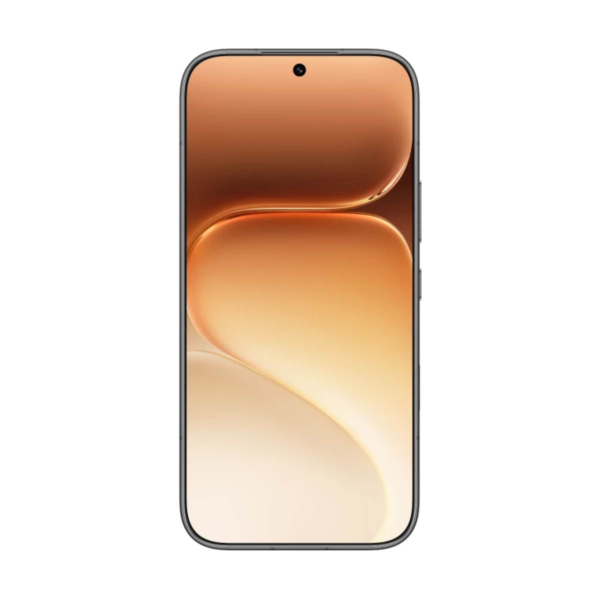 HONOR 600 12/256Gb Black, чёрный
