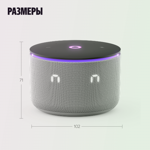 Купить умная колонка яндекс станция мини 3 про с алисой, zigbee, серый, 18 вт в Самаре