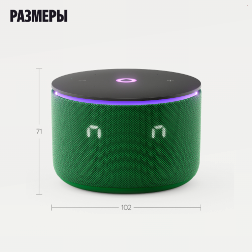 Купить умная колонка яндекс станция мини 3 про с алисой, zigbee, зеленый, 18 вт в Самаре