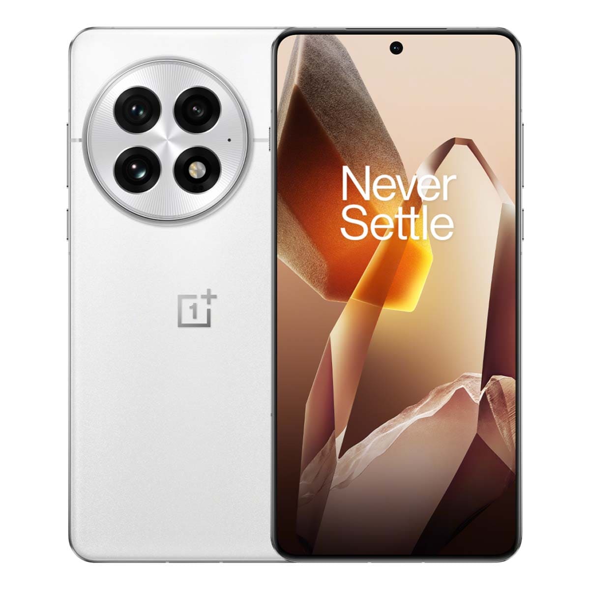 OnePlus 13